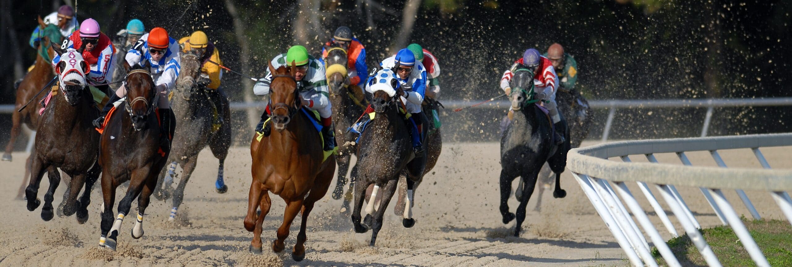 Race horses in full speed
